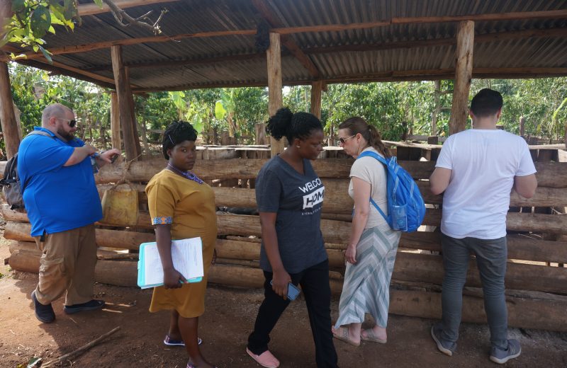 Maisha Farm
